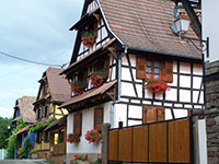 Idée de balade, promenade ou randonnée en famille avec des enfants : Gougenheim